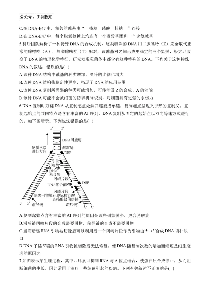 （9）遗传的分子基础&mdash;&mdash;2025届高考生物二轮复习易错重难提升（含解析）_2024-2025高三（6-6月题库）_2025年02月试卷_02162025届高考生物二轮复习易错重难提升（含解析）