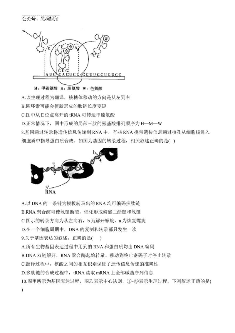 （9）遗传的分子基础&mdash;&mdash;2025届高考生物二轮复习易错重难提升（含解析）_2024-2025高三（6-6月题库）_2025年02月试卷_02162025届高考生物二轮复习易错重难提升（含解析）