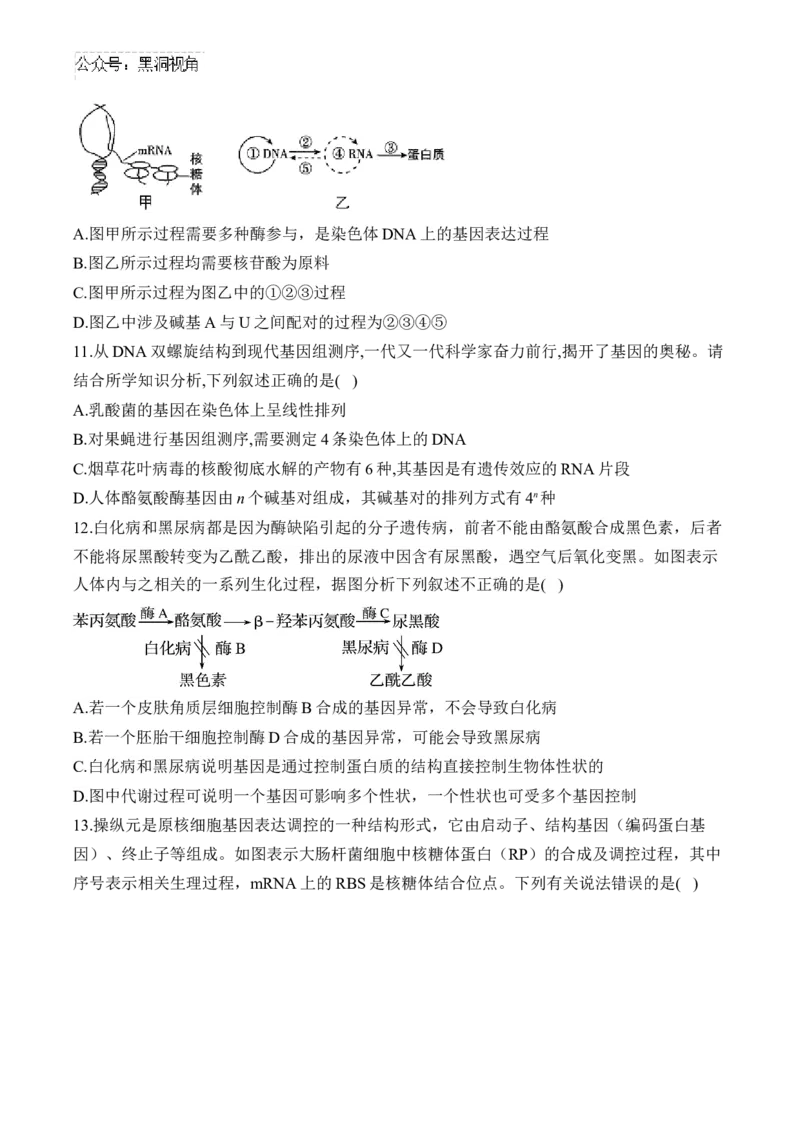 （9）遗传的分子基础&mdash;&mdash;2025届高考生物二轮复习易错重难提升（含解析）_2024-2025高三（6-6月题库）_2025年02月试卷_02162025届高考生物二轮复习易错重难提升（含解析）