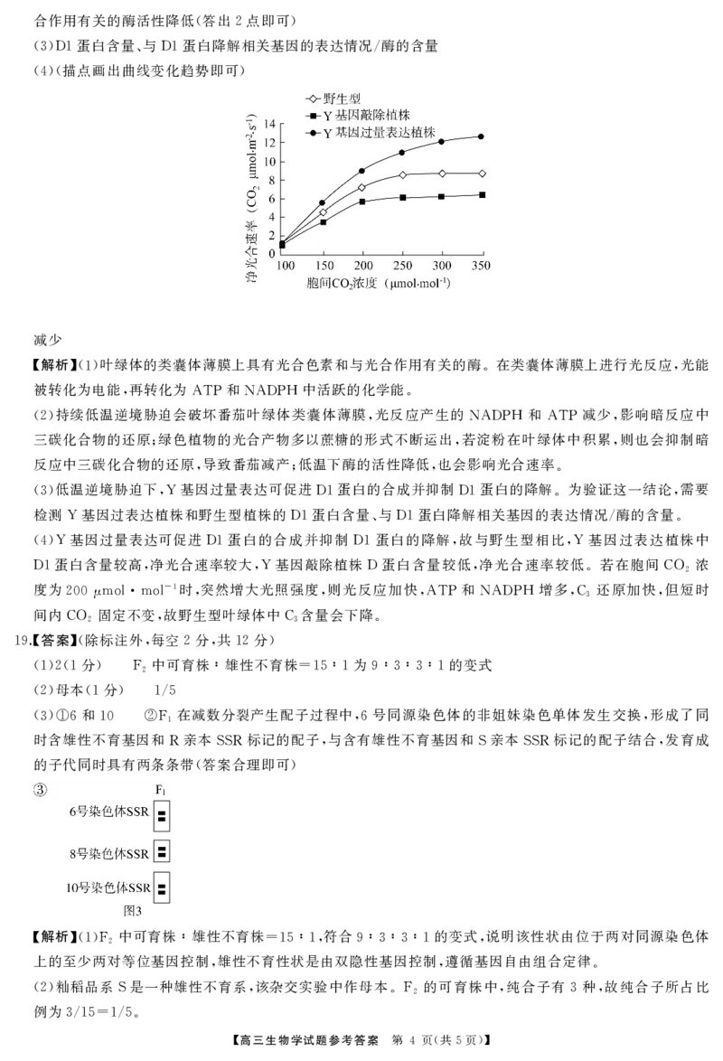 高三生物答案_2024-2025高三（6-6月题库）_2024年11月试卷_1121湖南省三湘名校教育联盟2025届高三上学期第二次大联考_湖南省三湘名校教育联盟2025届高三上学期第二次大联考生物