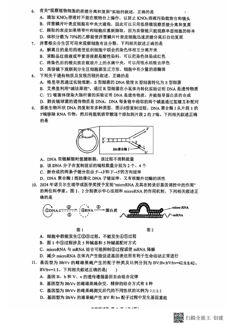 高三生物期中考试试题与答案-副本高三生物期中试题_2024-2025高三（6-6月题库）_2024年11月试卷_1118江苏省连云港市2024-2025学年高三第一学期期中调研考试（全科）