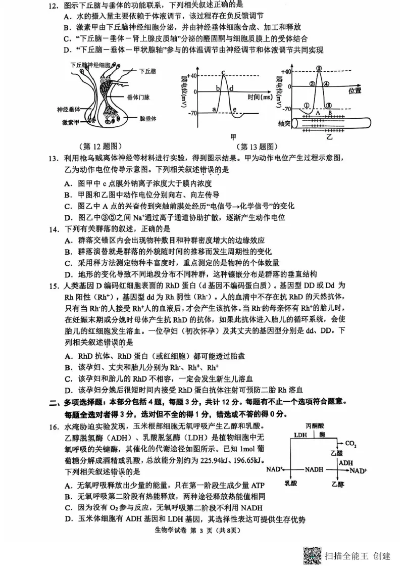 高三生物期中考试试题与答案-副本高三生物期中试题_2024-2025高三（6-6月题库）_2024年11月试卷_1118江苏省连云港市2024-2025学年高三第一学期期中调研考试（全科）