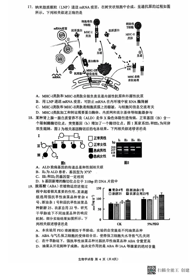 高三生物期中考试试题与答案-副本高三生物期中试题_2024-2025高三（6-6月题库）_2024年11月试卷_1118江苏省连云港市2024-2025学年高三第一学期期中调研考试（全科）