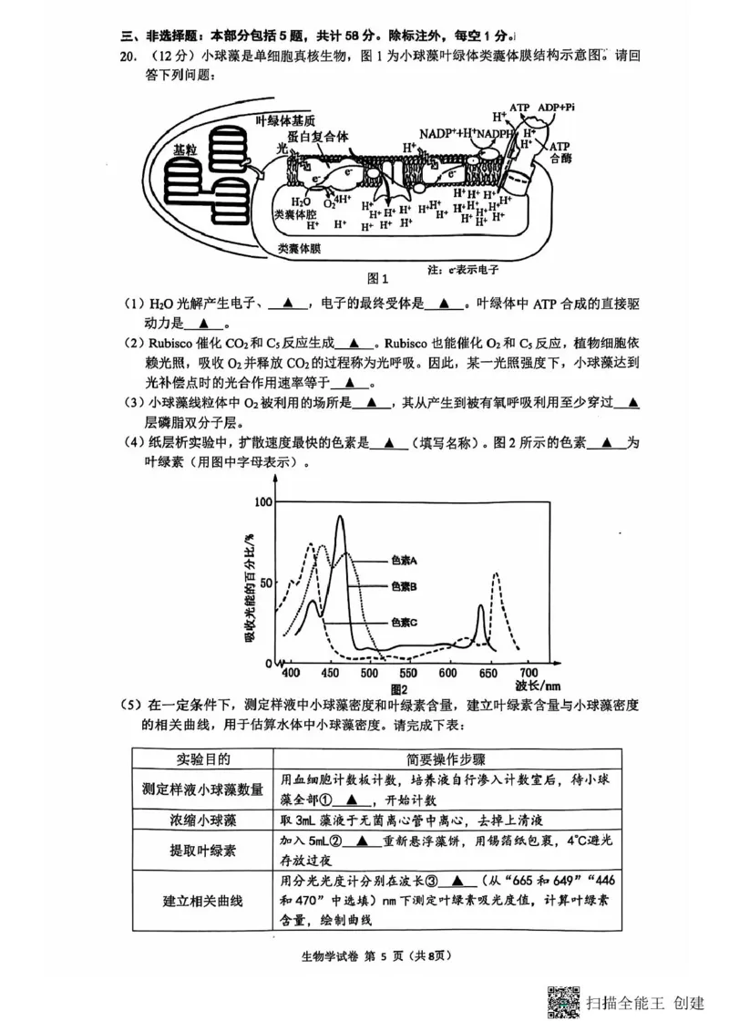高三生物期中考试试题与答案-副本高三生物期中试题_2024-2025高三（6-6月题库）_2024年11月试卷_1118江苏省连云港市2024-2025学年高三第一学期期中调研考试（全科）