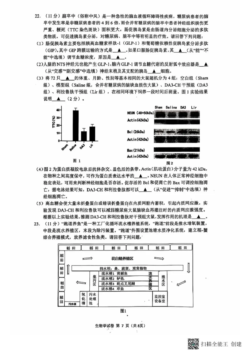 高三生物期中考试试题与答案-副本高三生物期中试题_2024-2025高三（6-6月题库）_2024年11月试卷_1118江苏省连云港市2024-2025学年高三第一学期期中调研考试（全科）