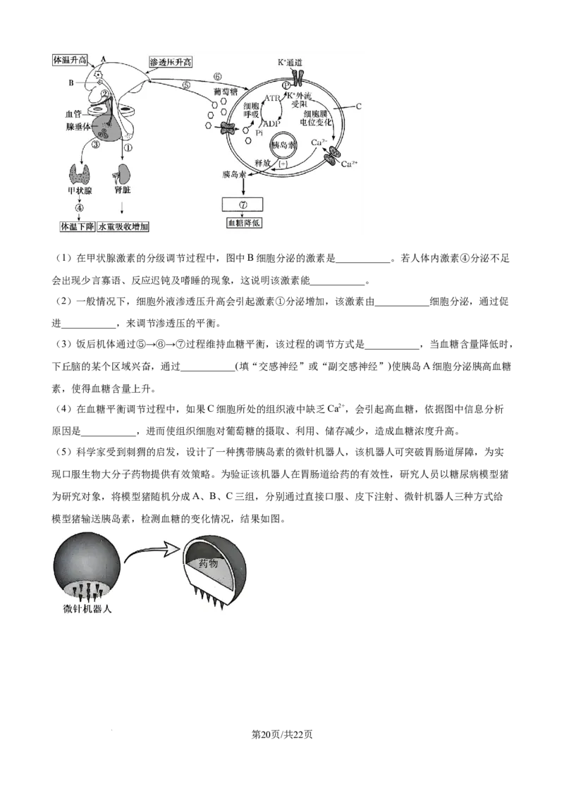 精品解析：天津市静海区第一中学2025-2026学年高二上学期12月月考生物试题（解析版）_2024-2025高二（7-7月题库）_2026年1月高二_260109天津市静海区第一中学2025-2026学年高二上学期12月月考