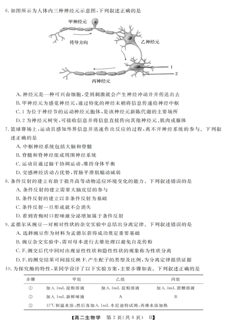 生物试卷_2025年10月高二试卷_251023浙江省强基联盟2025-2026学年高二上学期10月联考B卷（全）_浙江省强基联盟2025-2026学年高二上学期10月联考B卷生物PDF版含解析