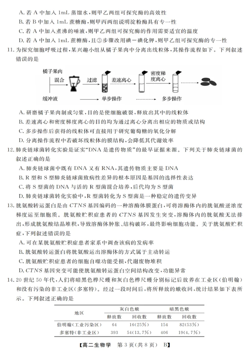 生物试卷_2025年10月高二试卷_251023浙江省强基联盟2025-2026学年高二上学期10月联考B卷（全）_浙江省强基联盟2025-2026学年高二上学期10月联考B卷生物PDF版含解析