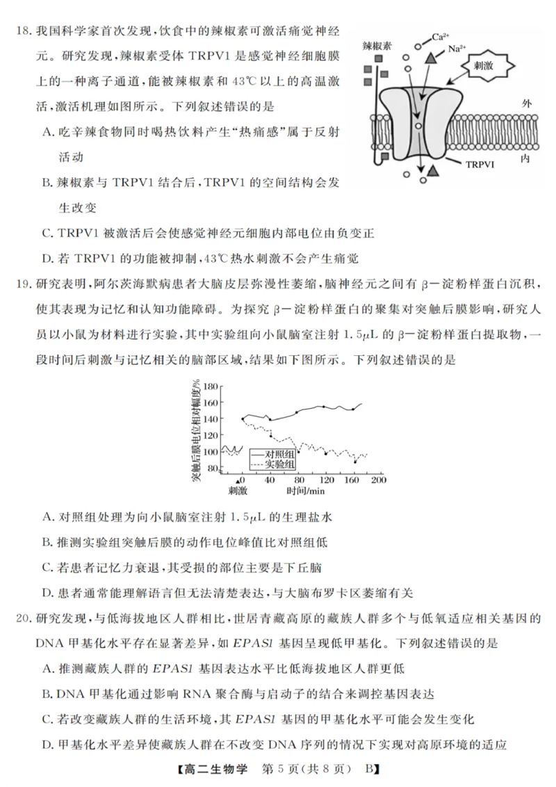 生物试卷_2025年10月高二试卷_251023浙江省强基联盟2025-2026学年高二上学期10月联考B卷（全）_浙江省强基联盟2025-2026学年高二上学期10月联考B卷生物PDF版含解析