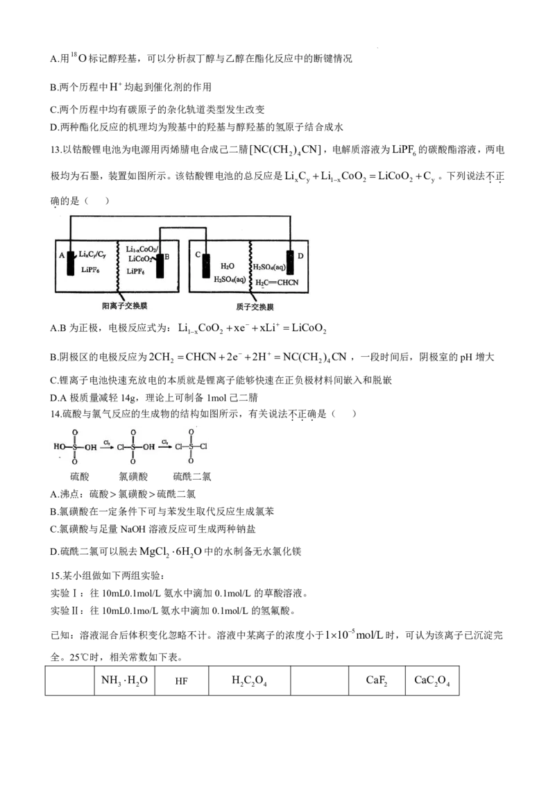 浙江省稽阳联谊学校2024-2025学年高三上学期11月联考+化学试题+_2024-2025高三（6-6月题库）_2024年11月试卷_1128浙江省稽阳联谊学校2024-2025学年高三上学期11月联考（全科）