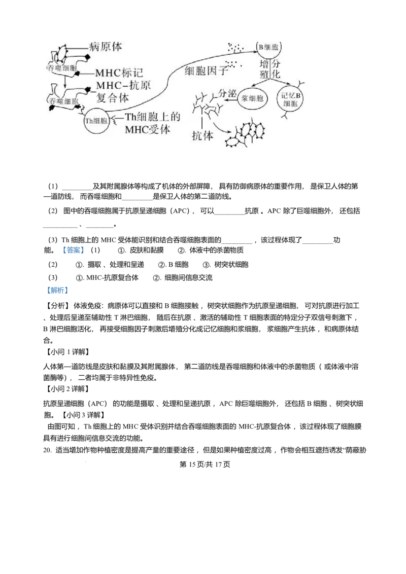 甘肃省兰州市八校联考2025-2026学年高二上学期期末生物试卷含答案_2024-2025高二（7-7月题库）_2026年1月高二_260123甘肃省兰州市八校联考2025-2026学年高二上学期期末考试（全）