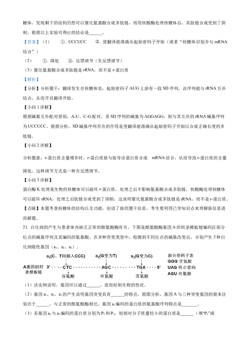 湖北省部分高中联考2025-2026学年高二上学期11月期中生物试题Word版含解析_251205湖北省部分高中联考2025-2026学年高二上学期11月期中