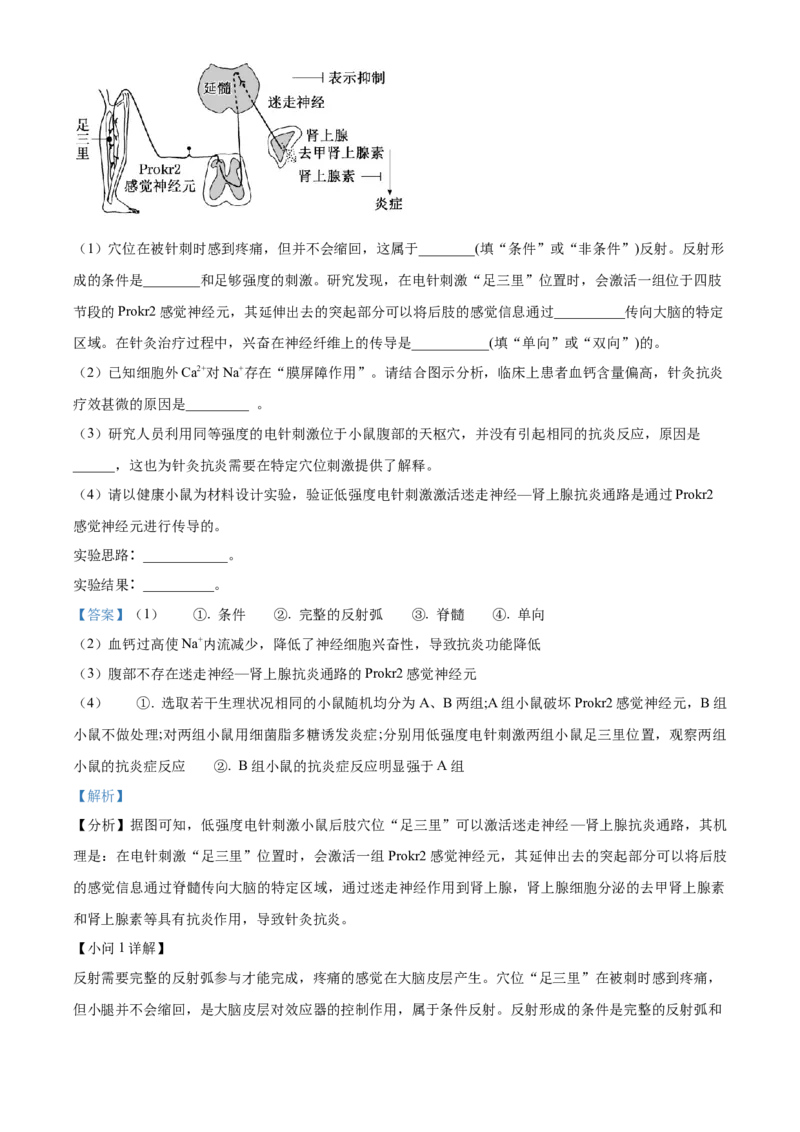 湖北省部分高中联考2025-2026学年高二上学期11月期中生物试题Word版含解析_251205湖北省部分高中联考2025-2026学年高二上学期11月期中