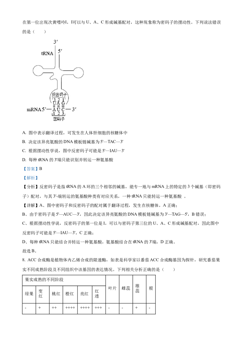 湖北省部分高中联考2025-2026学年高二上学期11月期中生物试题Word版含解析_251205湖北省部分高中联考2025-2026学年高二上学期11月期中