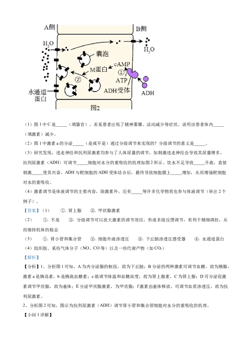 黑龙江省哈尔滨市第三中学2024-2025学年高二上学期期中生物试卷Word版含解析_2024-2025高二（7-7月题库）_2024年12月试卷_1216黑龙江省哈尔滨市第三中学2024-2025学年高二上学期期中
