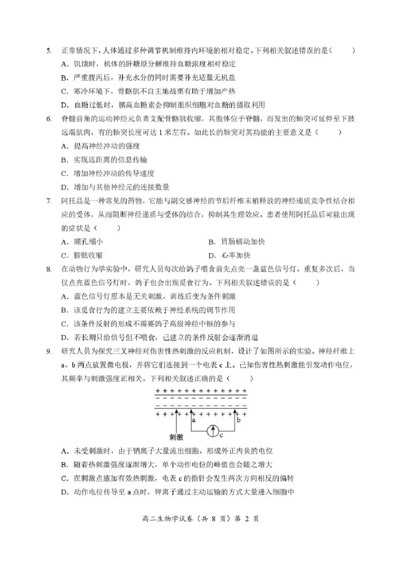湖北省孝感新高考协作体2025-2026学年高二上学期11月期中生物试题含答案_2025年11月高二试卷_251112湖北省孝感市新高考协作体2025-2026学年高二上学期11月期中