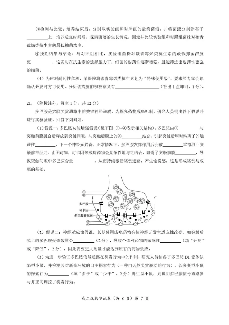湖北省孝感新高考协作体2025-2026学年高二上学期11月期中生物试题含答案_2025年11月高二试卷_251112湖北省孝感市新高考协作体2025-2026学年高二上学期11月期中