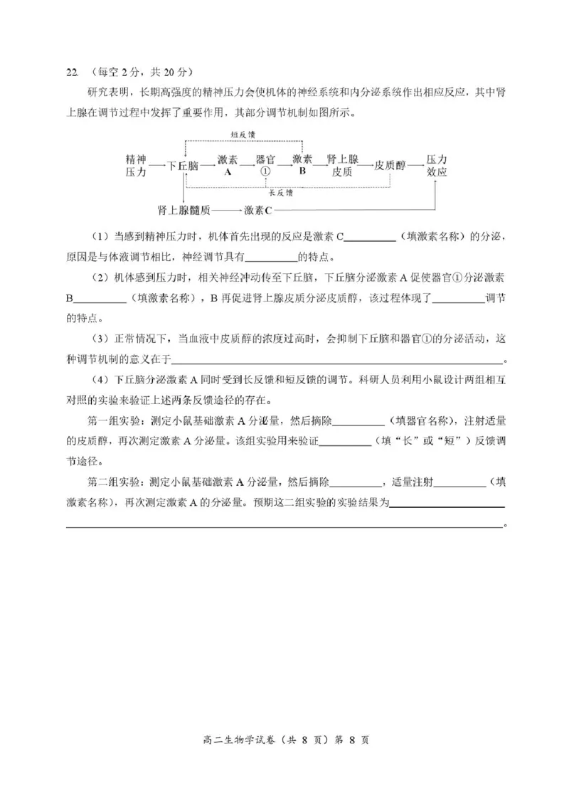 湖北省孝感新高考协作体2025-2026学年高二上学期11月期中生物试题含答案_2025年11月高二试卷_251112湖北省孝感市新高考协作体2025-2026学年高二上学期11月期中