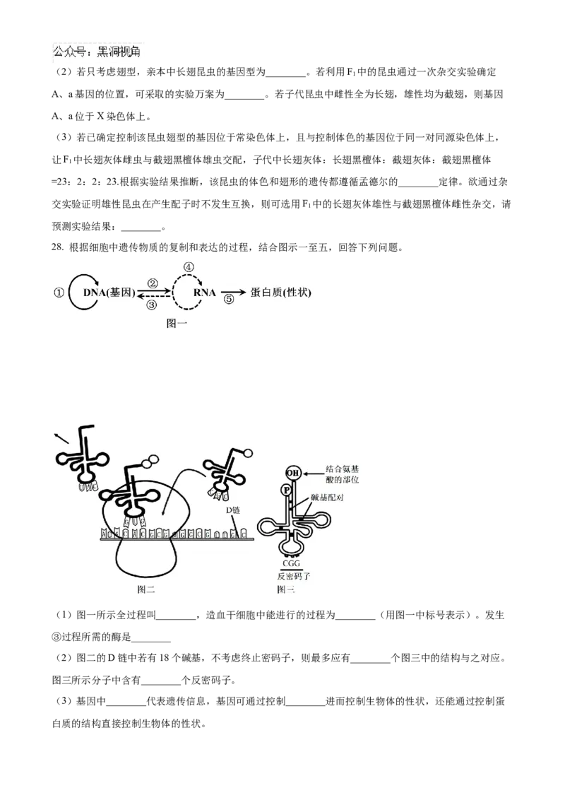 黑龙江省哈尔滨市第九中学2024-2025学年高三上学期期中考试生物Word版含答案_2024-2025高三（6-6月题库）_2024年11月试卷_1106黑龙江省哈尔滨市第九中学2024-2025学年高三上学期期中考试