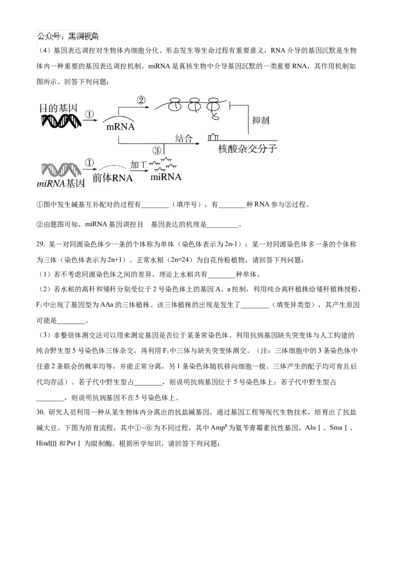 黑龙江省哈尔滨市第九中学2024-2025学年高三上学期期中考试生物Word版含答案_2024-2025高三（6-6月题库）_2024年11月试卷_1106黑龙江省哈尔滨市第九中学2024-2025学年高三上学期期中考试