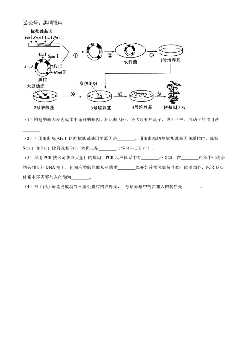 黑龙江省哈尔滨市第九中学2024-2025学年高三上学期期中考试生物Word版含答案_2024-2025高三（6-6月题库）_2024年11月试卷_1106黑龙江省哈尔滨市第九中学2024-2025学年高三上学期期中考试