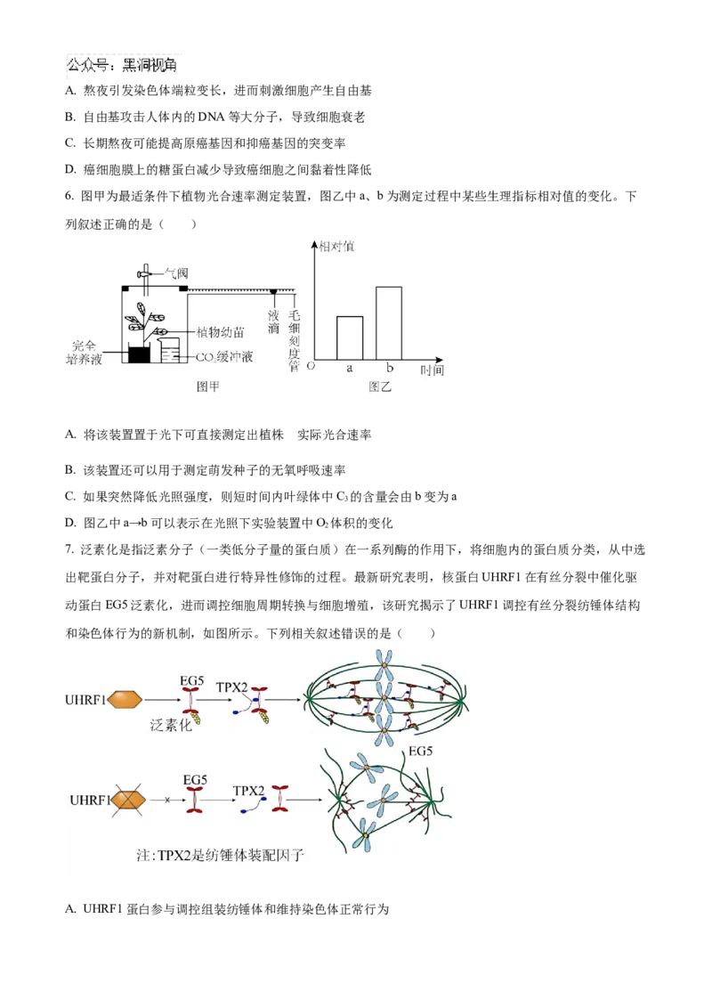 黑龙江省哈尔滨市第九中学2024-2025学年高三上学期期中考试生物Word版含答案_2024-2025高三（6-6月题库）_2024年11月试卷_1106黑龙江省哈尔滨市第九中学2024-2025学年高三上学期期中考试