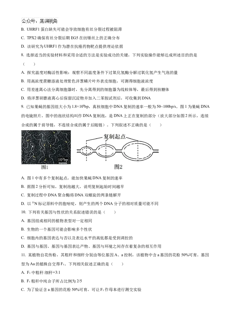 黑龙江省哈尔滨市第九中学2024-2025学年高三上学期期中考试生物Word版含答案_2024-2025高三（6-6月题库）_2024年11月试卷_1106黑龙江省哈尔滨市第九中学2024-2025学年高三上学期期中考试