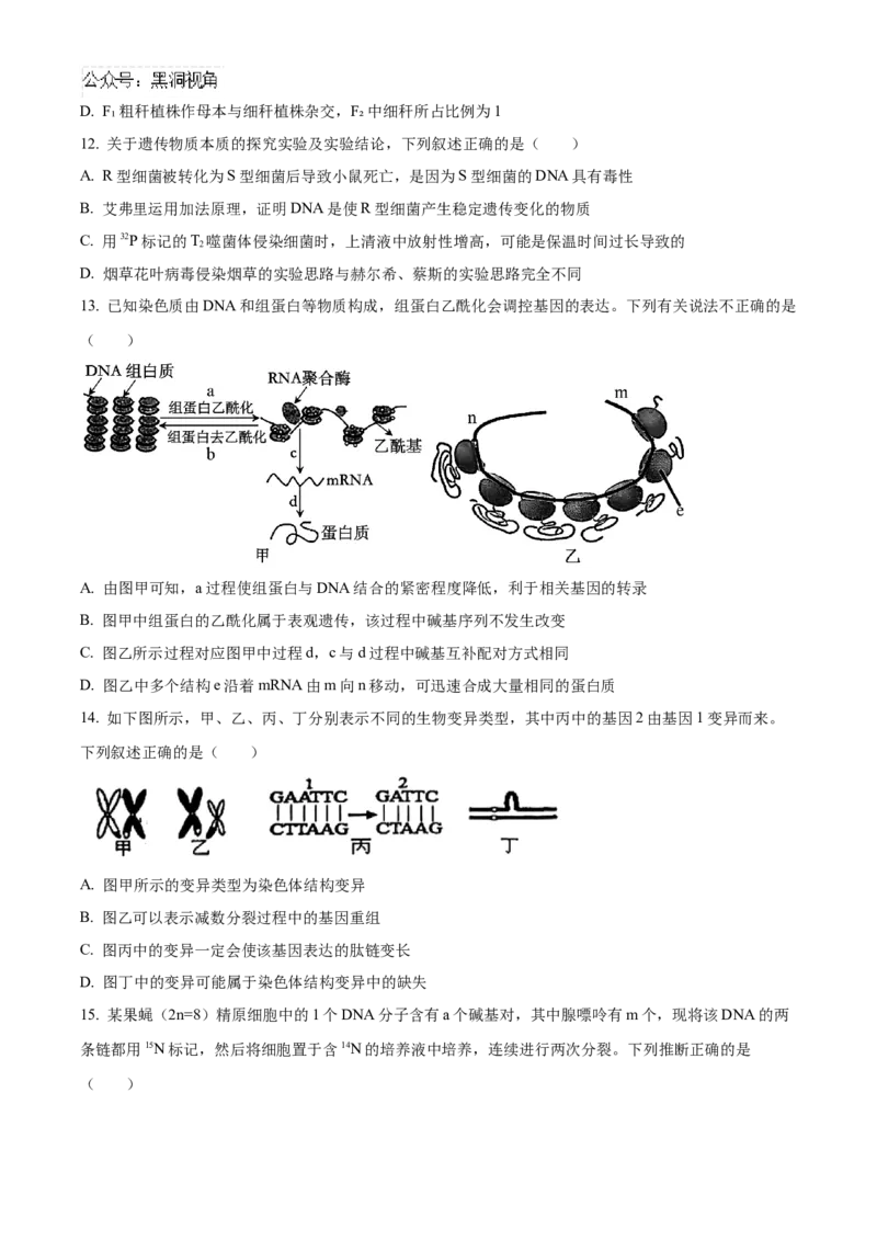 黑龙江省哈尔滨市第九中学2024-2025学年高三上学期期中考试生物Word版含答案_2024-2025高三（6-6月题库）_2024年11月试卷_1106黑龙江省哈尔滨市第九中学2024-2025学年高三上学期期中考试