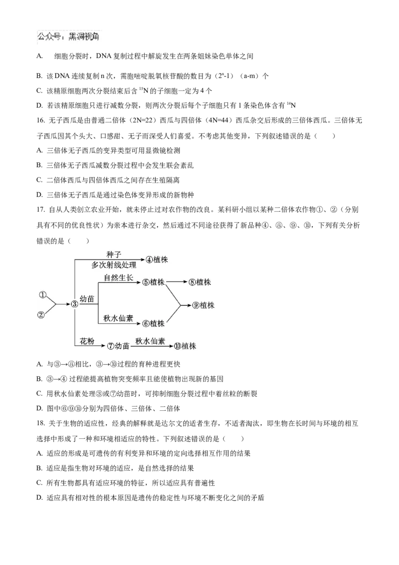 黑龙江省哈尔滨市第九中学2024-2025学年高三上学期期中考试生物Word版含答案_2024-2025高三（6-6月题库）_2024年11月试卷_1106黑龙江省哈尔滨市第九中学2024-2025学年高三上学期期中考试