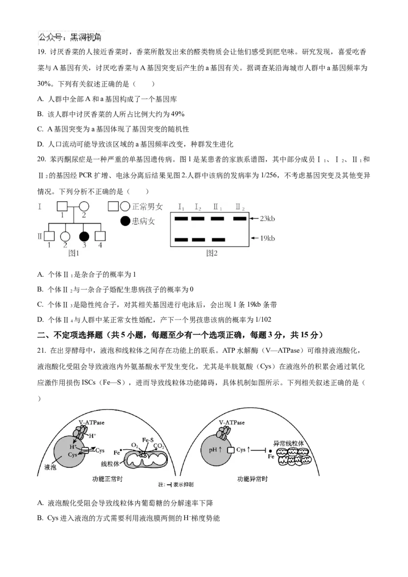 黑龙江省哈尔滨市第九中学2024-2025学年高三上学期期中考试生物Word版含答案_2024-2025高三（6-6月题库）_2024年11月试卷_1106黑龙江省哈尔滨市第九中学2024-2025学年高三上学期期中考试