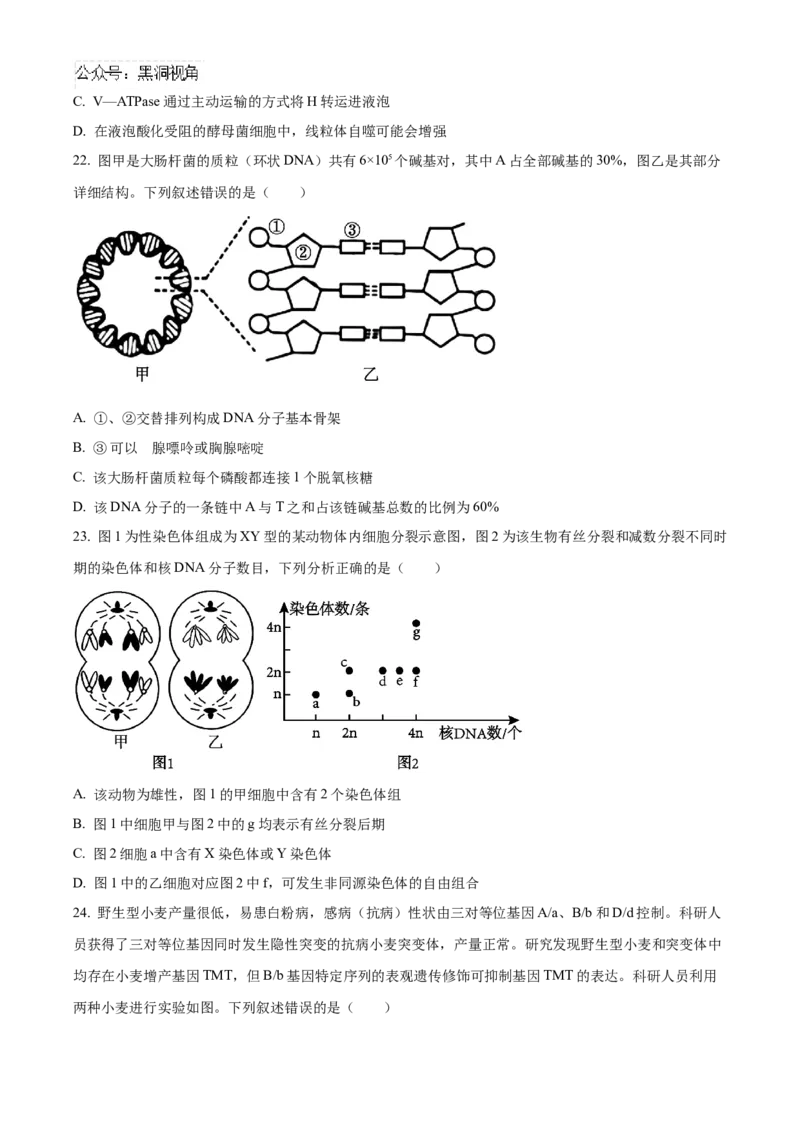 黑龙江省哈尔滨市第九中学2024-2025学年高三上学期期中考试生物Word版含答案_2024-2025高三（6-6月题库）_2024年11月试卷_1106黑龙江省哈尔滨市第九中学2024-2025学年高三上学期期中考试
