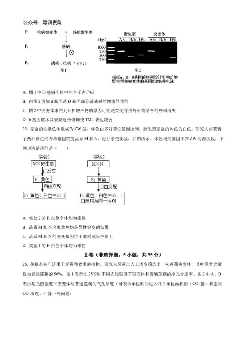黑龙江省哈尔滨市第九中学2024-2025学年高三上学期期中考试生物Word版含答案_2024-2025高三（6-6月题库）_2024年11月试卷_1106黑龙江省哈尔滨市第九中学2024-2025学年高三上学期期中考试