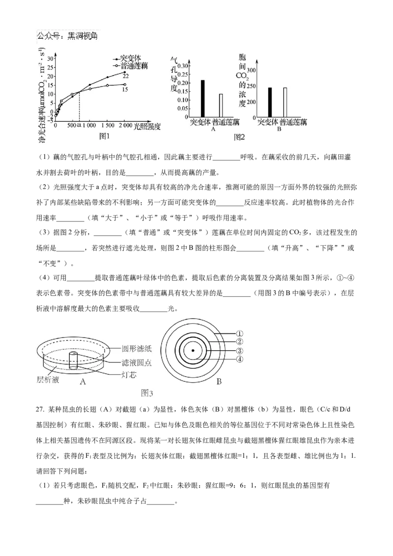 黑龙江省哈尔滨市第九中学2024-2025学年高三上学期期中考试生物Word版含答案_2024-2025高三（6-6月题库）_2024年11月试卷_1106黑龙江省哈尔滨市第九中学2024-2025学年高三上学期期中考试
