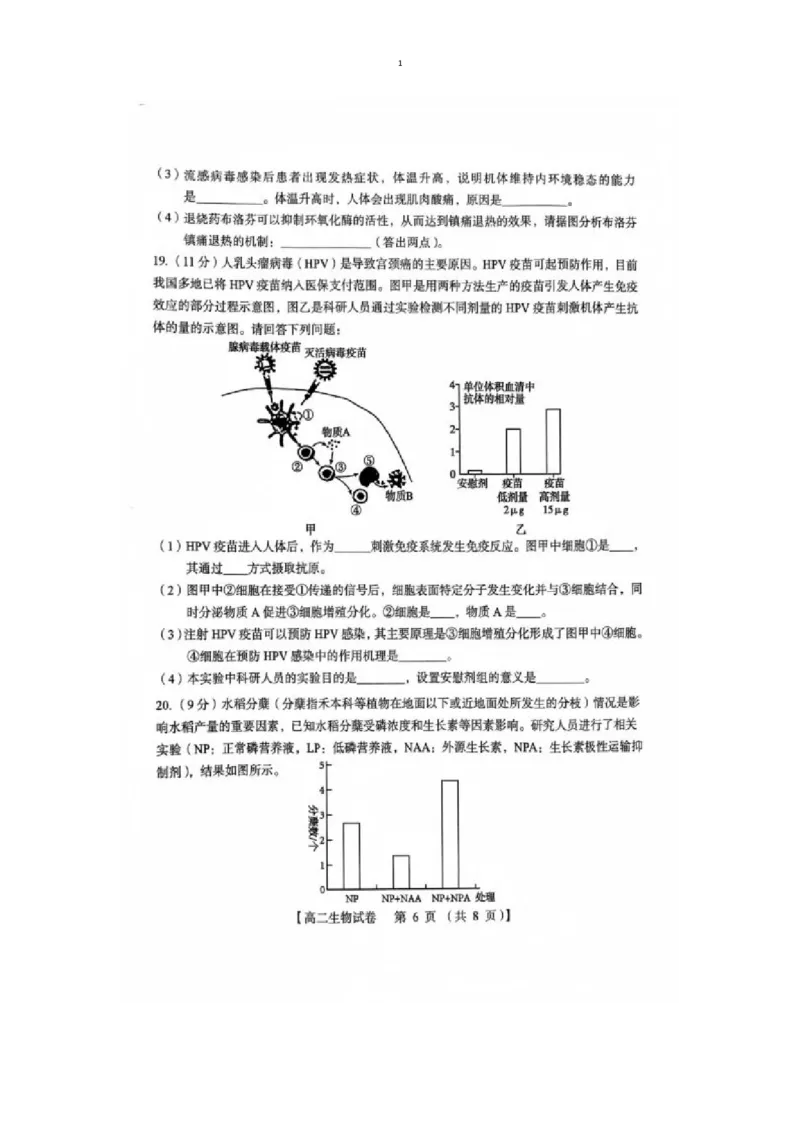 试题_2024-2025高二（7-7月题库）_2025年01月试卷_0126河南省三门峡市2024-2025学年高二上学期1月期末考试_河南省三门峡市2024-2025学年高二上学期1月期末考试生物图片版含答案