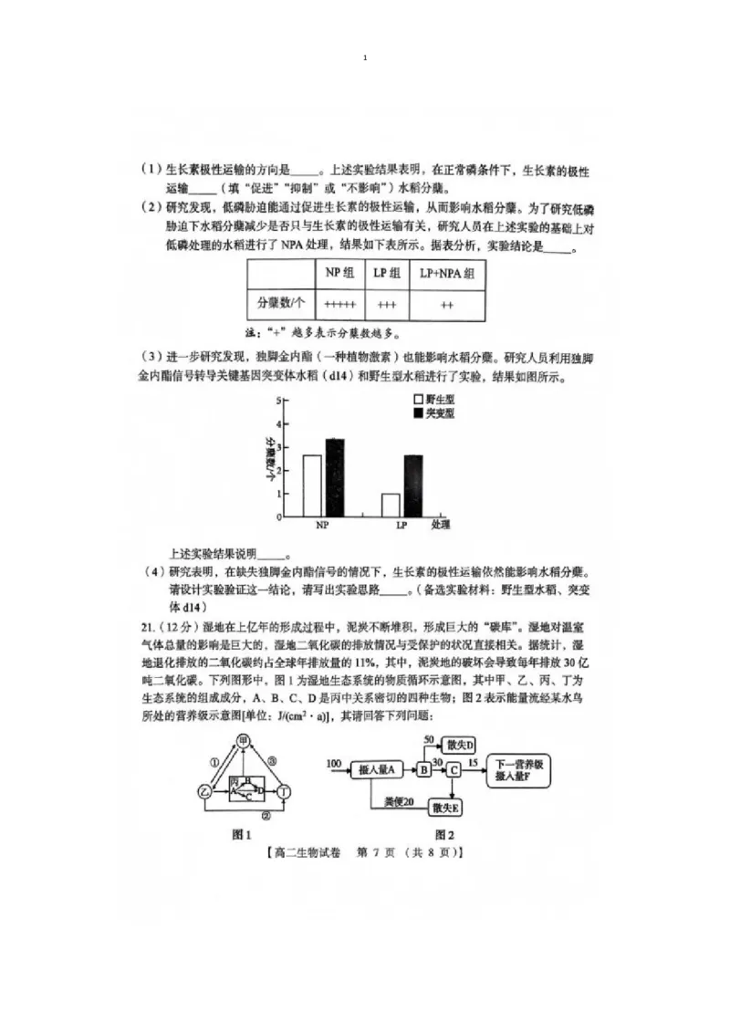 试题_2024-2025高二（7-7月题库）_2025年01月试卷_0126河南省三门峡市2024-2025学年高二上学期1月期末考试_河南省三门峡市2024-2025学年高二上学期1月期末考试生物图片版含答案