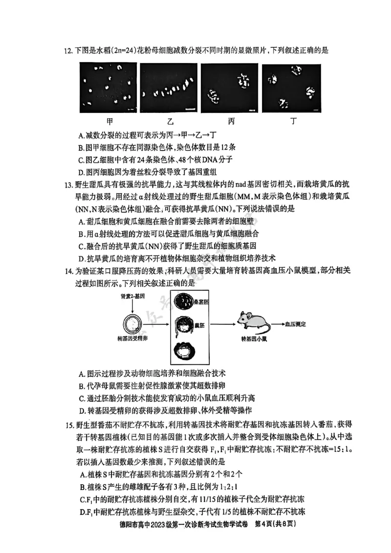 德阳市高中2023级第一次诊断考试生物_2024-2026高三（6-6月题库）_2025年12月高三试卷_251225四川省德阳市高中2023级第一次诊断考试（德阳一诊）（全科）