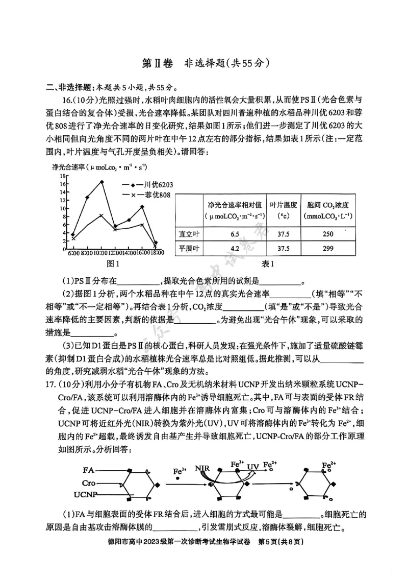 德阳市高中2023级第一次诊断考试生物_2024-2026高三（6-6月题库）_2025年12月高三试卷_251225四川省德阳市高中2023级第一次诊断考试（德阳一诊）（全科）