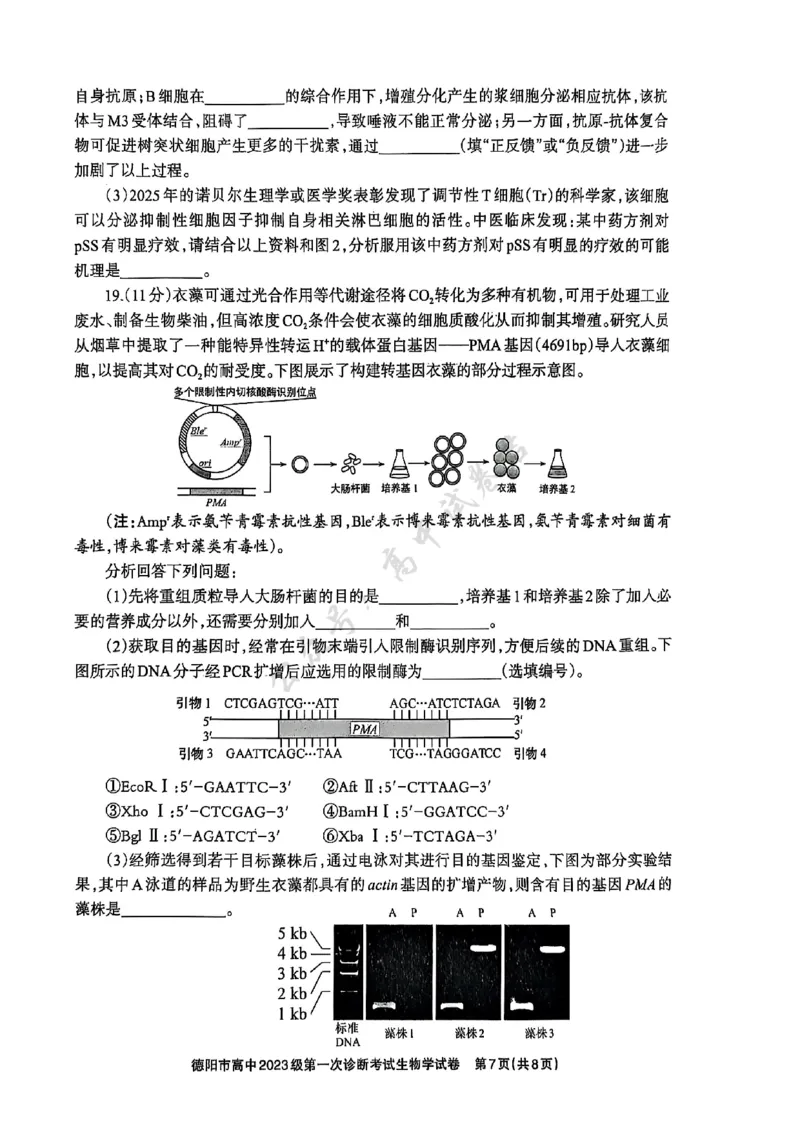 德阳市高中2023级第一次诊断考试生物_2024-2026高三（6-6月题库）_2025年12月高三试卷_251225四川省德阳市高中2023级第一次诊断考试（德阳一诊）（全科）