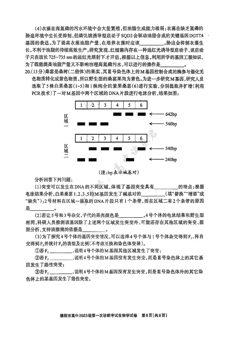 德阳市高中2023级第一次诊断考试生物_2024-2026高三（6-6月题库）_2025年12月高三试卷_251225四川省德阳市高中2023级第一次诊断考试（德阳一诊）（全科）