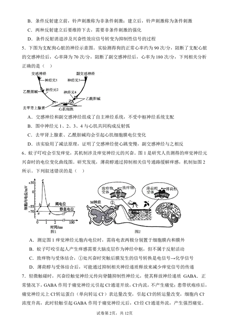 生物_251216河南省实验中学2025-2026学年高二上学期期中考试（全）_河南省实验中学2025-2026学年高二上学期期中考试生物试题含答案