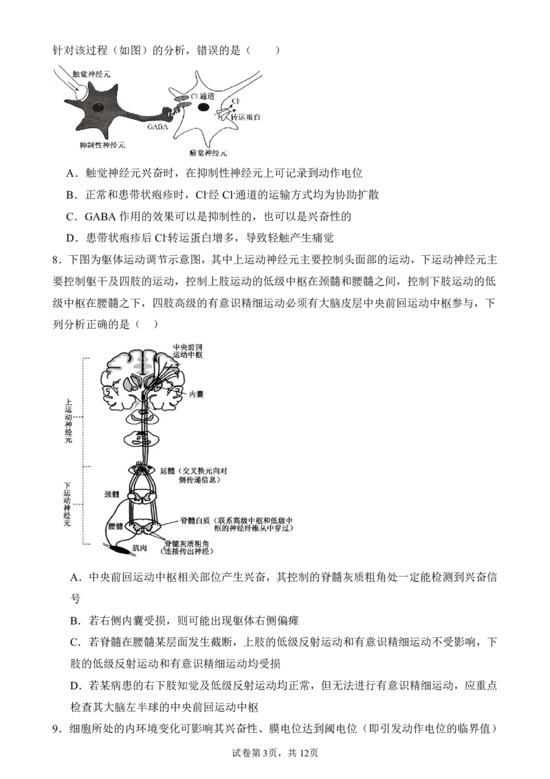 生物_251216河南省实验中学2025-2026学年高二上学期期中考试（全）_河南省实验中学2025-2026学年高二上学期期中考试生物试题含答案