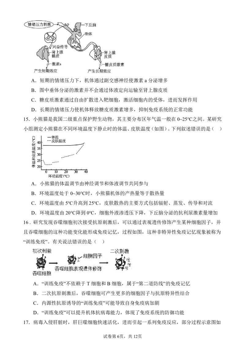 生物_251216河南省实验中学2025-2026学年高二上学期期中考试（全）_河南省实验中学2025-2026学年高二上学期期中考试生物试题含答案