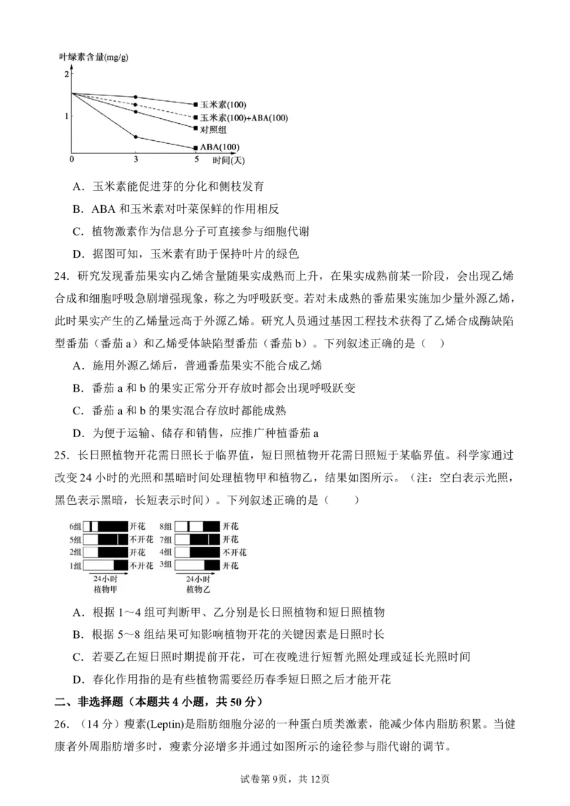 生物_251216河南省实验中学2025-2026学年高二上学期期中考试（全）_河南省实验中学2025-2026学年高二上学期期中考试生物试题含答案