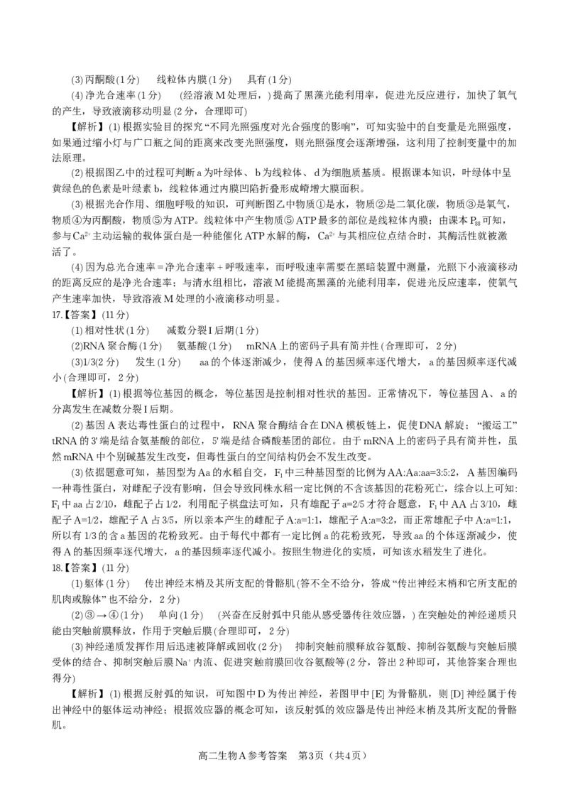 生物答案A&middot;2025年11月高二期中联考_2025年11月高二试卷_251123安徽省皖江名校联盟2025-2026学年高二上学期期中联考（全）