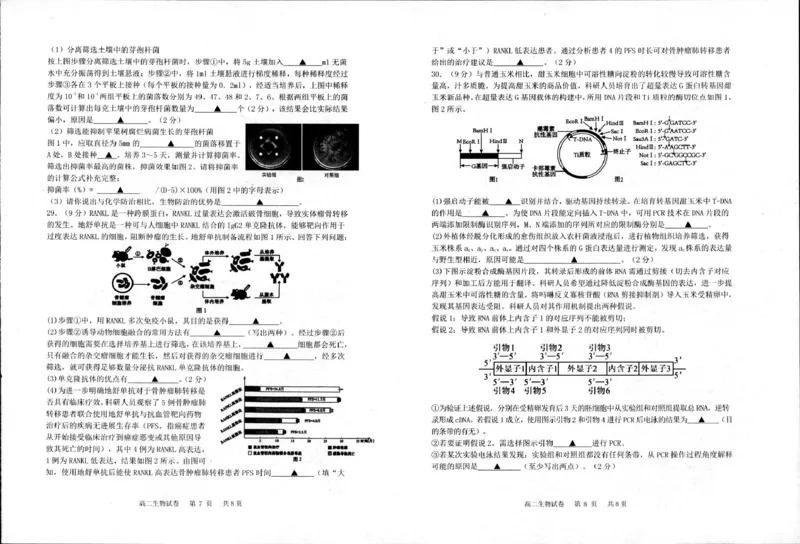 生物生物_2024-2025高二（7-7月题库）_2025年6月试卷_0606江苏省宿迁市泗阳县2024-2025学年高二下学期期中考试