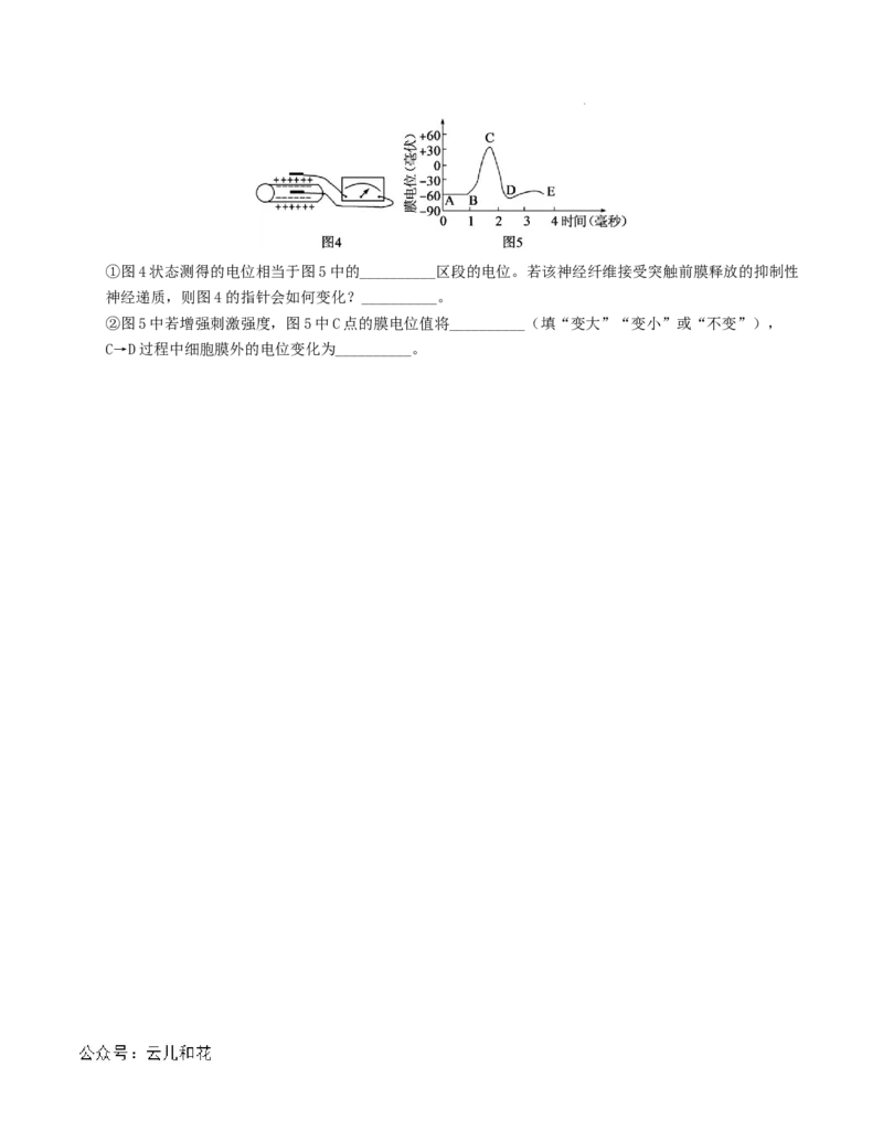高二生物第一次月考卷（考试版A4）测试范围：第1-2章（人教版2019）_2024-2025高二（7-7月题库）_2024年09月试卷