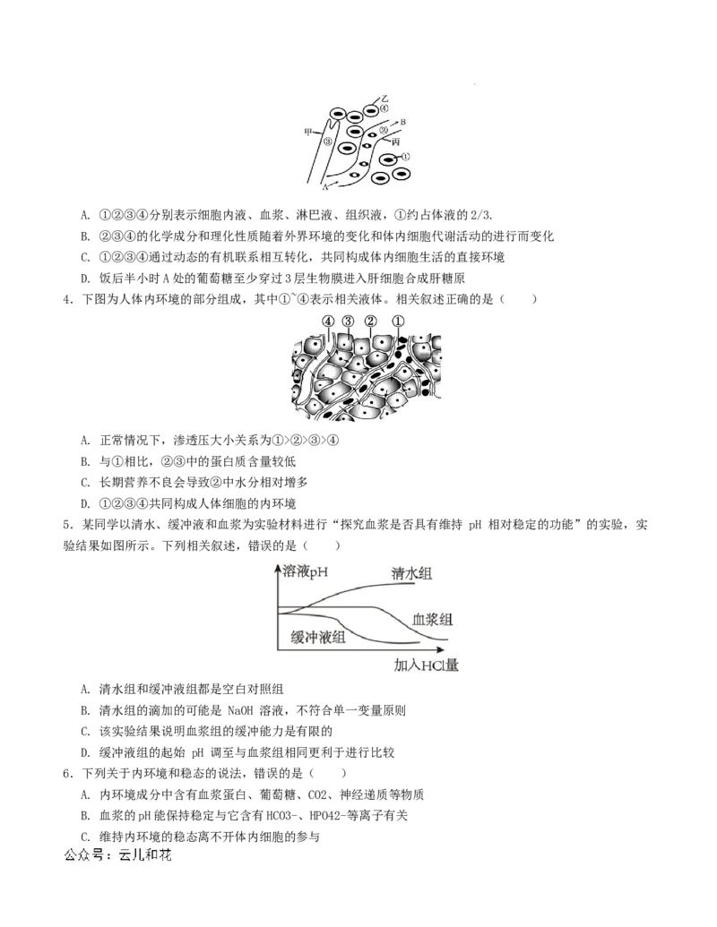 高二生物第一次月考卷（考试版A4）测试范围：第1-2章（人教版2019）_2024-2025高二（7-7月题库）_2024年09月试卷
