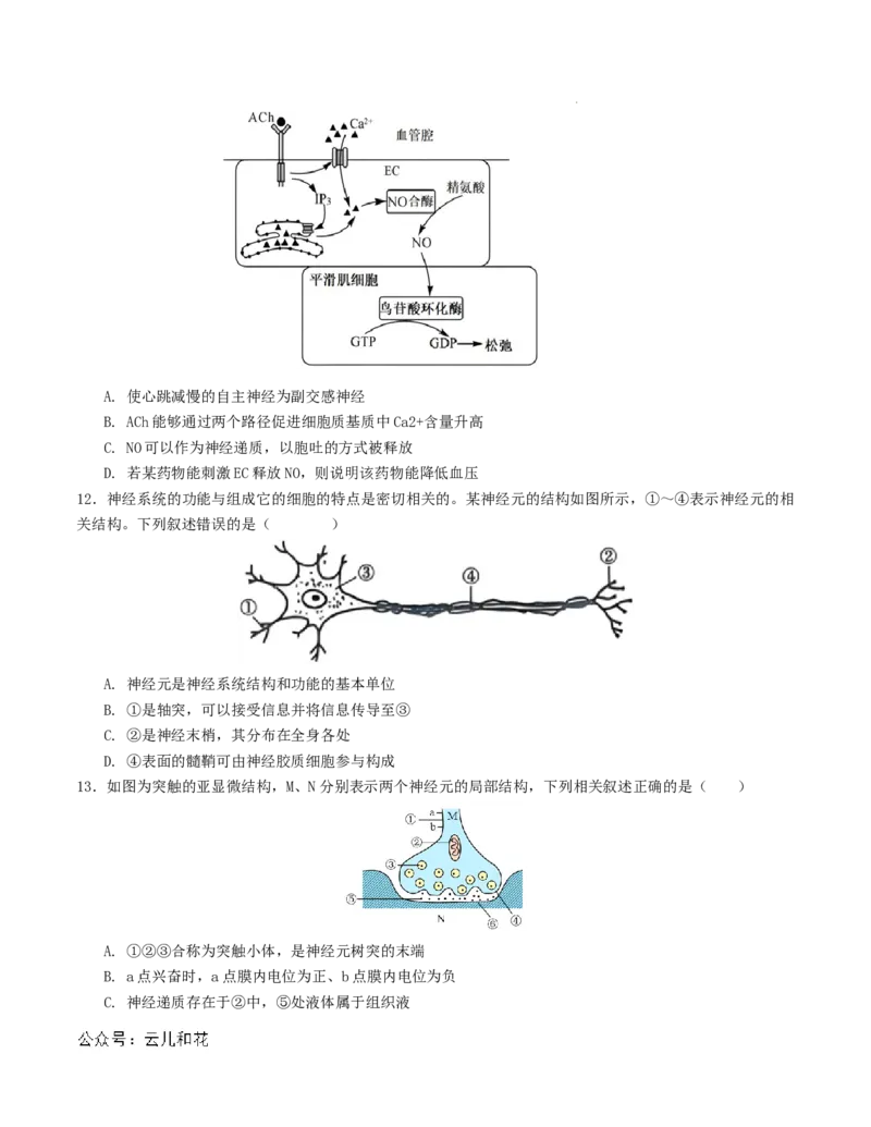 高二生物第一次月考卷（考试版A4）测试范围：第1-2章（人教版2019）_2024-2025高二（7-7月题库）_2024年09月试卷
