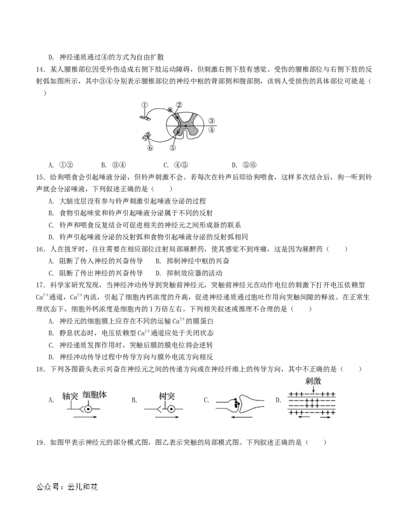 高二生物第一次月考卷（考试版A4）测试范围：第1-2章（人教版2019）_2024-2025高二（7-7月题库）_2024年09月试卷