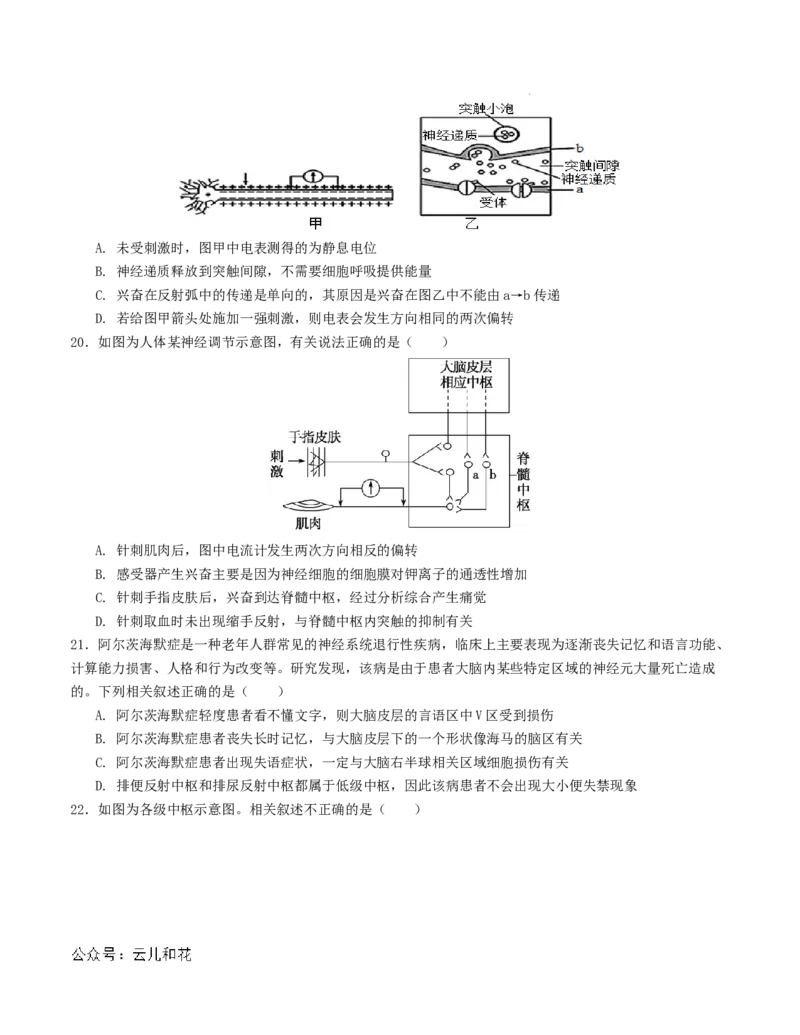高二生物第一次月考卷（考试版A4）测试范围：第1-2章（人教版2019）_2024-2025高二（7-7月题库）_2024年09月试卷